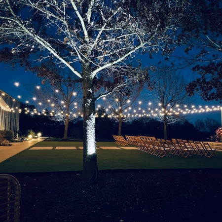 Festoon Stringlights - Image 15