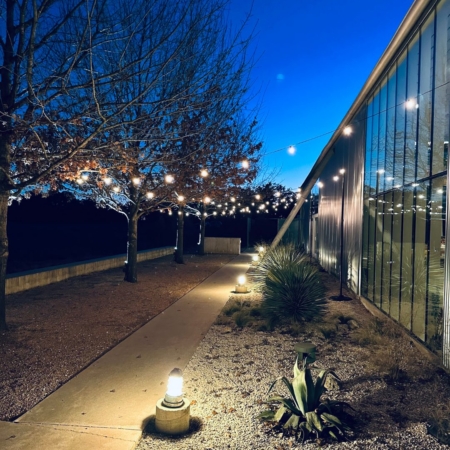 Festoon Stringlights - Image 16