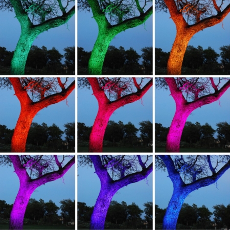 Uplighting - Image 17